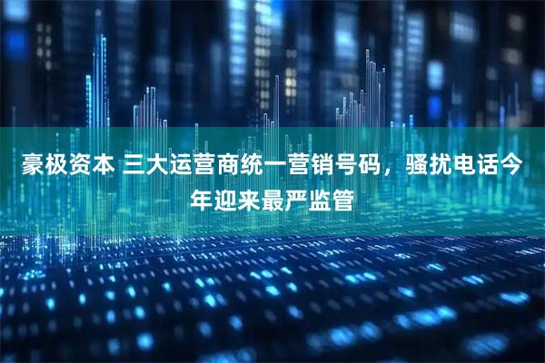豪极资本 三大运营商统一营销号码，骚扰电话今年迎来最严监管